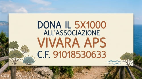Dona il tuo 5x1000
